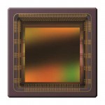 CMV4000-2E5C1PP Picture