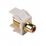 RCAFINSERT-FW Picture