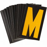 5890-M Picture