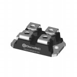 GD2X100MPS12N Picture