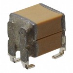 RH221C106MA3RA3 Picture