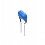 FG11X7R2A225KRT06 Picture