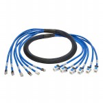 N261-010-6MF-BL Picture