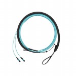 FXTRL7NQSONM3.5 Picture