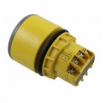 TS-10 Picture