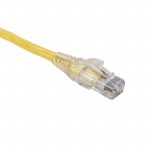 PC6YEL10SCG Picture