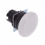 A22NZ-BMA-NWA Picture