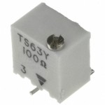 TS63Y101KR10 Picture