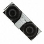 GP2W1001YP0F Picture