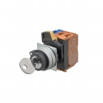 A22NK-2ML-01BA-G002 Picture