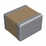 2225Y5000824KXT Picture