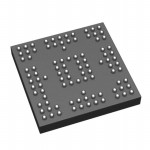 LPC55S16JEV98E Picture