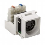 S110INSERT-W Picture
