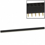 PPPN402AFCN Picture