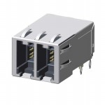 10133575-001LF Picture