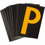 5905-P Picture