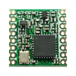 RFM95W-915S2 Picture
