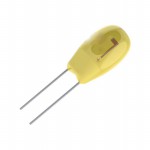 T350A105J035AT Picture