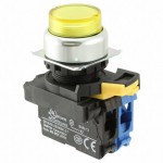 A22NL-RPM-TYA-G100-YA Picture