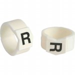 SCN61-R Picture