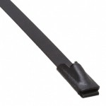 AL-20-100-SS-CT-C Picture