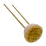 MT101NP-YL Picture